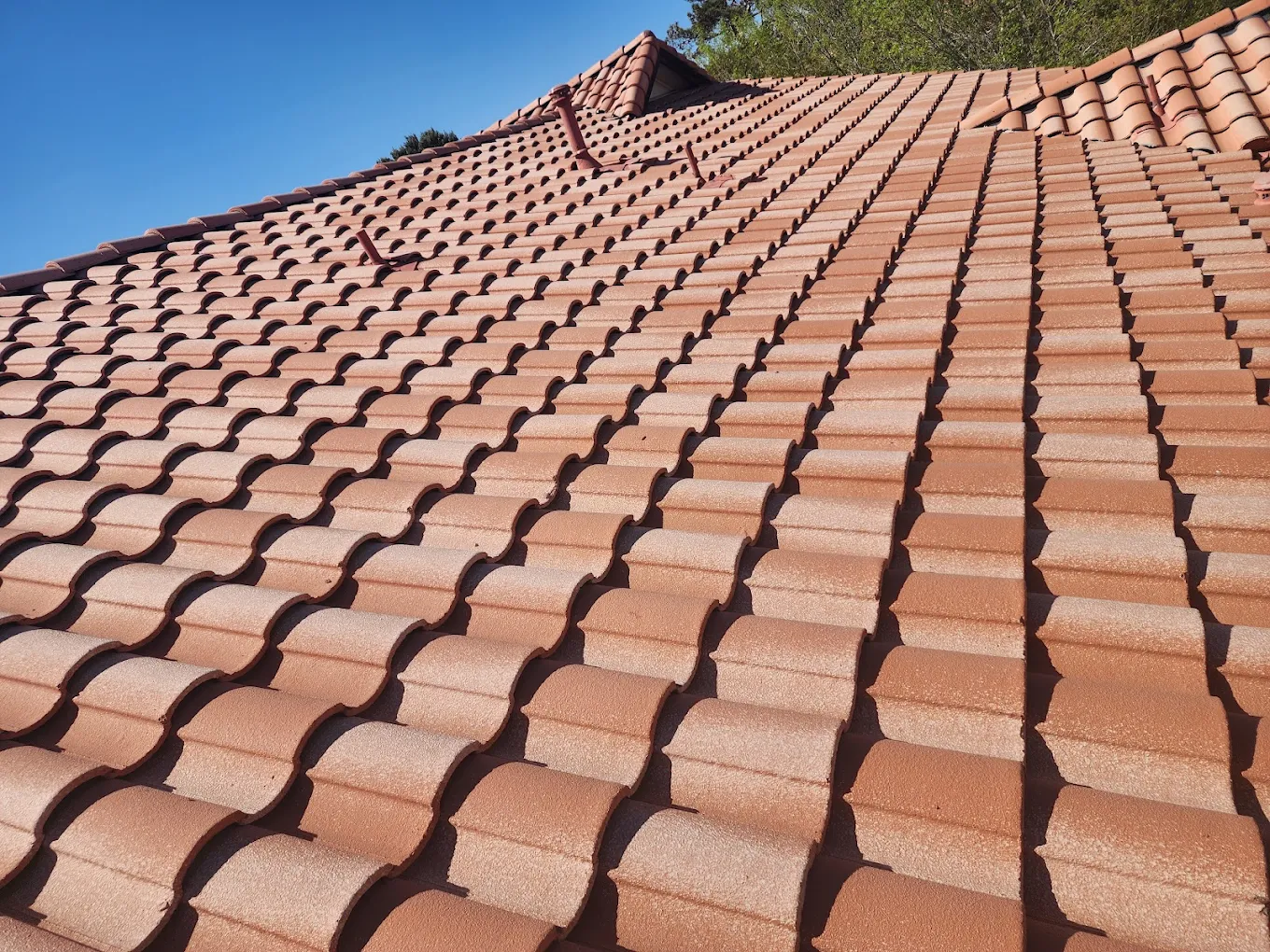 Recent Roofing Project
